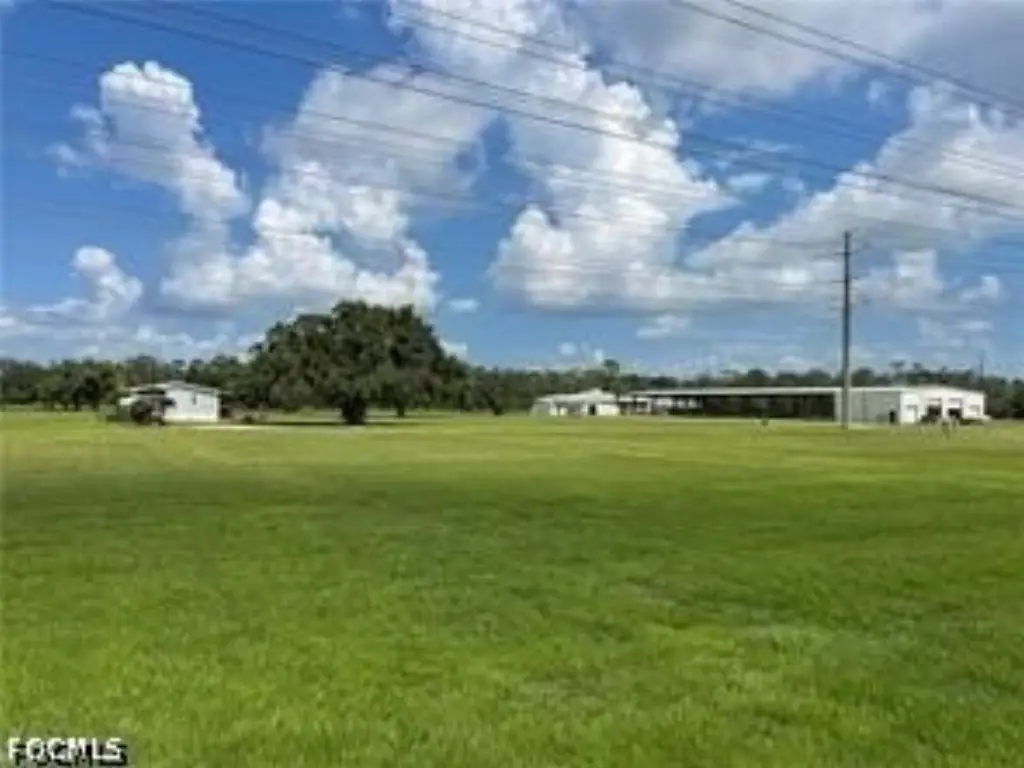 Picture 4