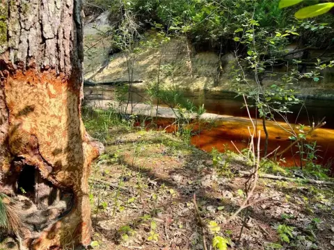 Black River Falls Land Tract