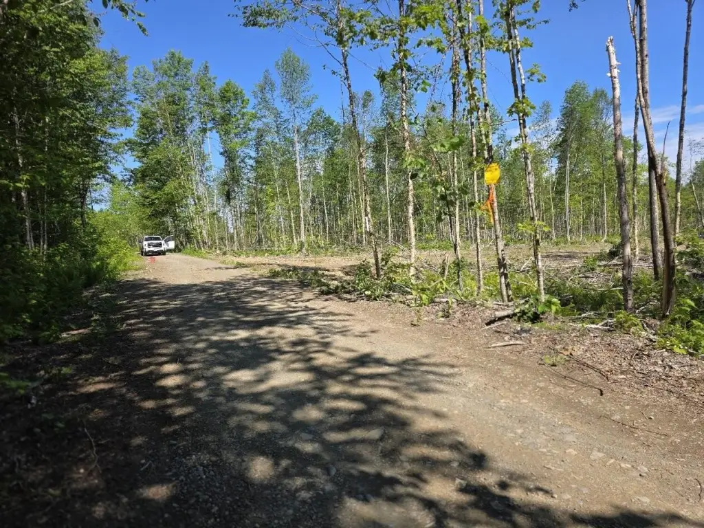 Picture 7