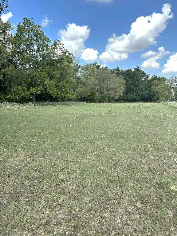 Picture 11