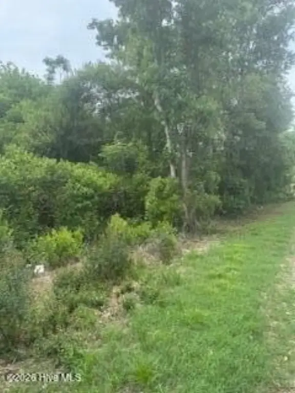 Picture 3