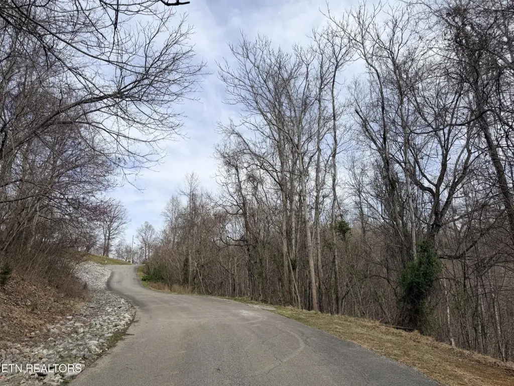 Picture 18