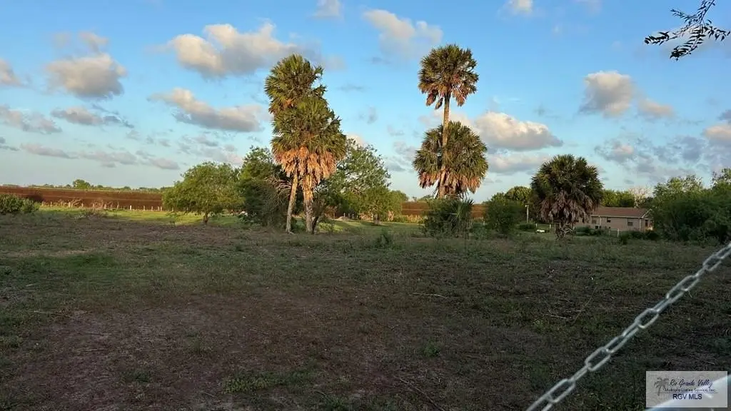 Picture 5