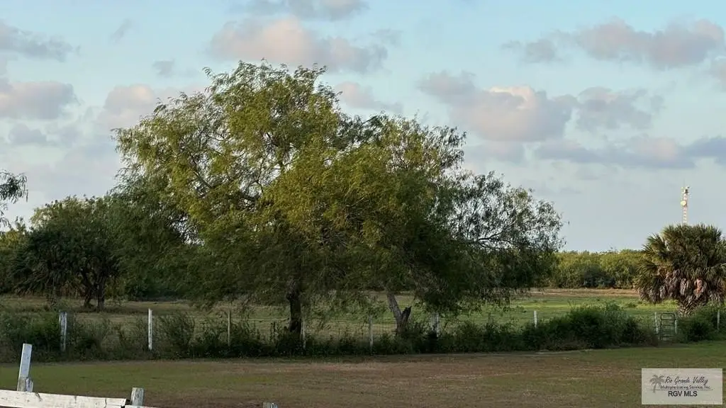 Picture 4