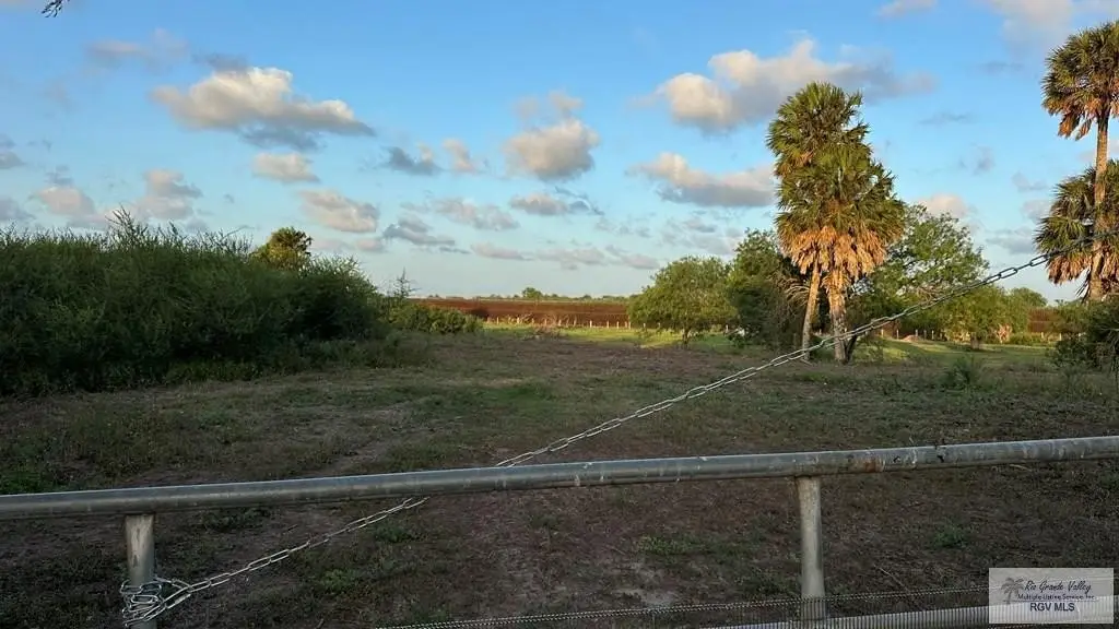 Picture 6
