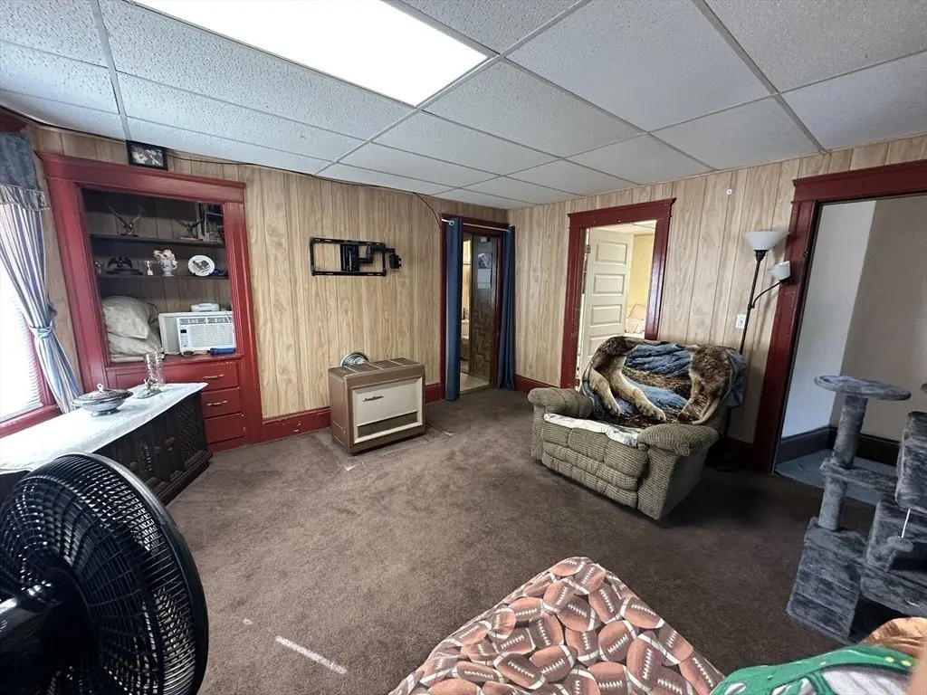 Picture 15