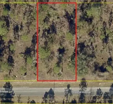 Residential Homesite in Weeki Wachee