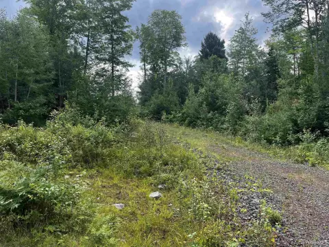 Wooded Hunting Land with Interior Roads