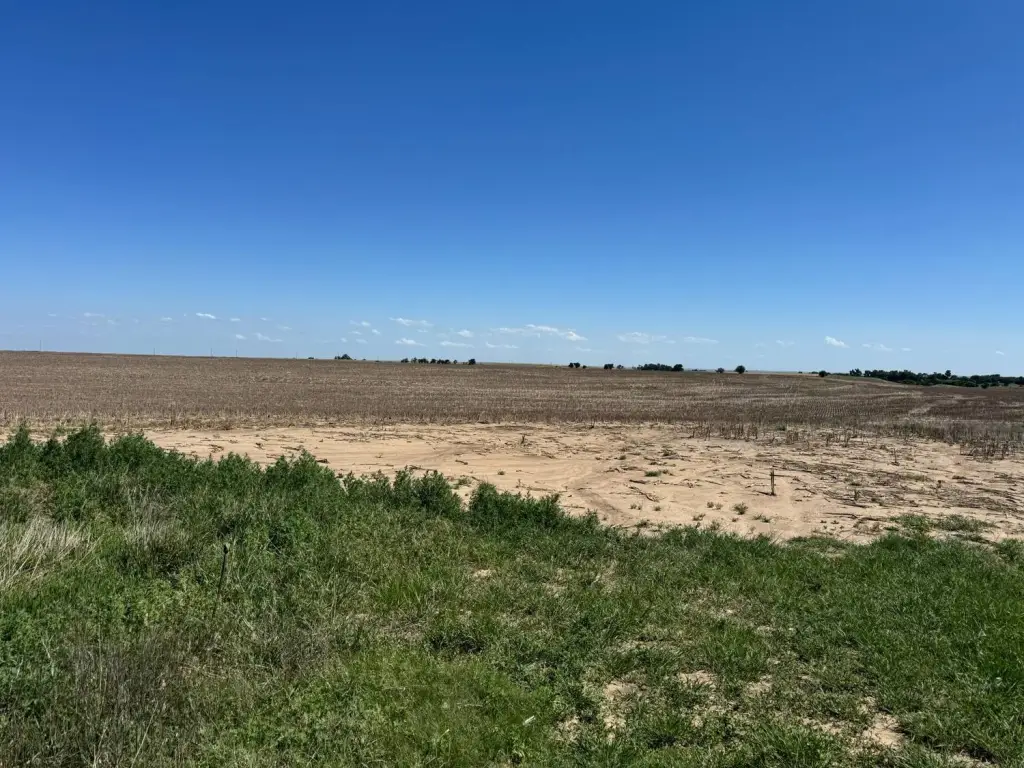 Picture 30