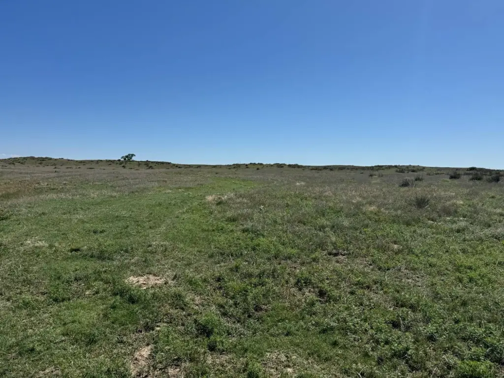 Picture 39