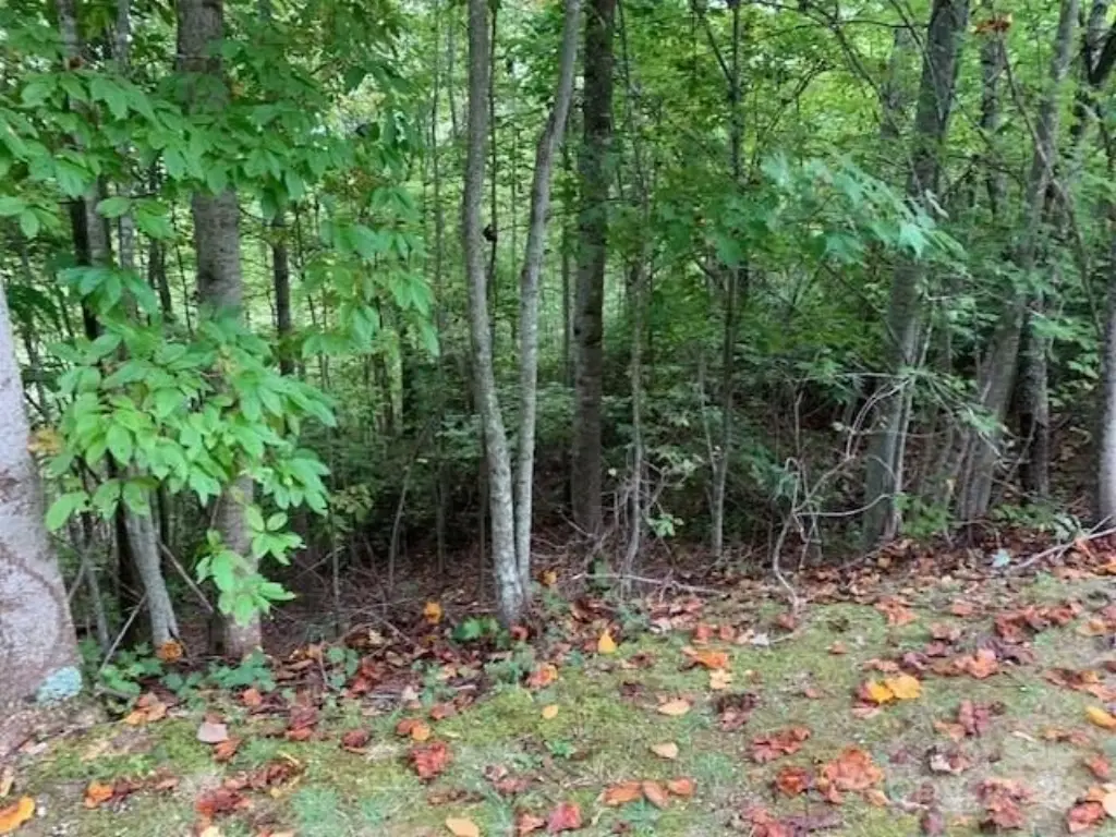 Picture 13