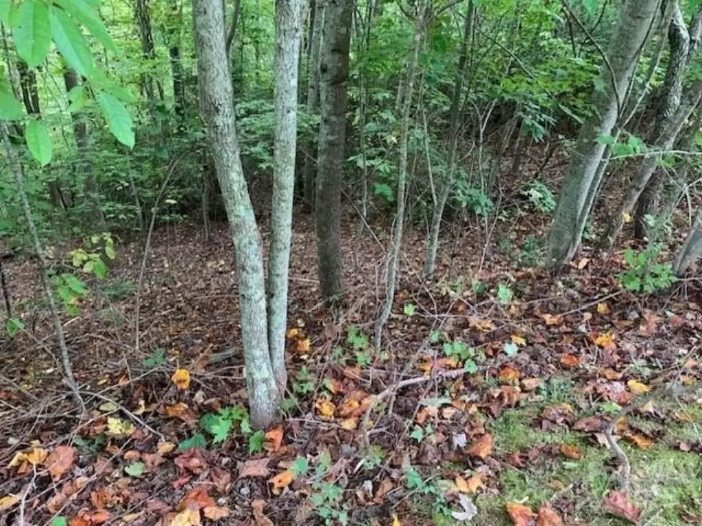 Picture 14
