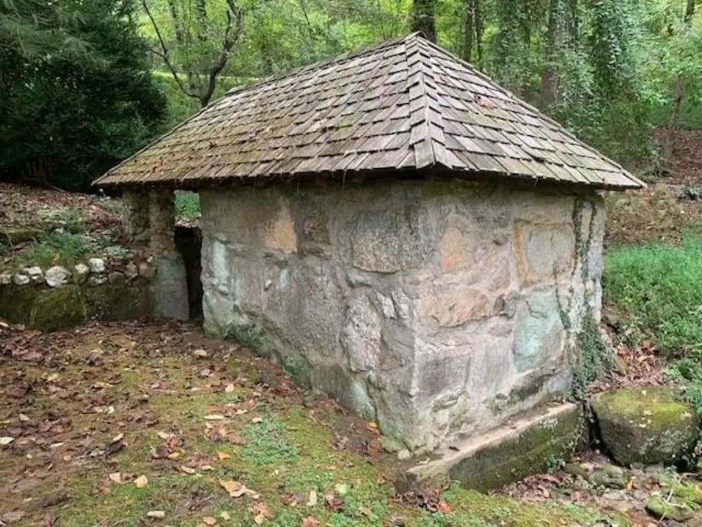 Picture 41