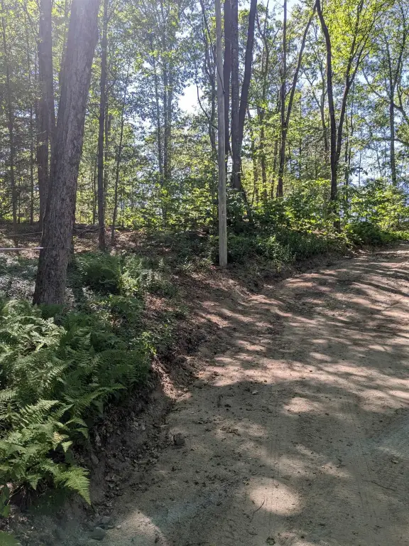 Picture 16