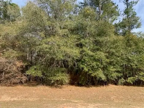 Residential Lot in Magnolia Forest