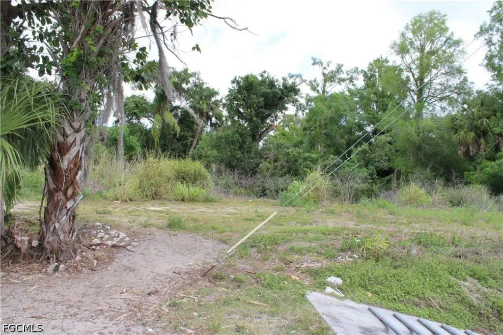 Picture 14
