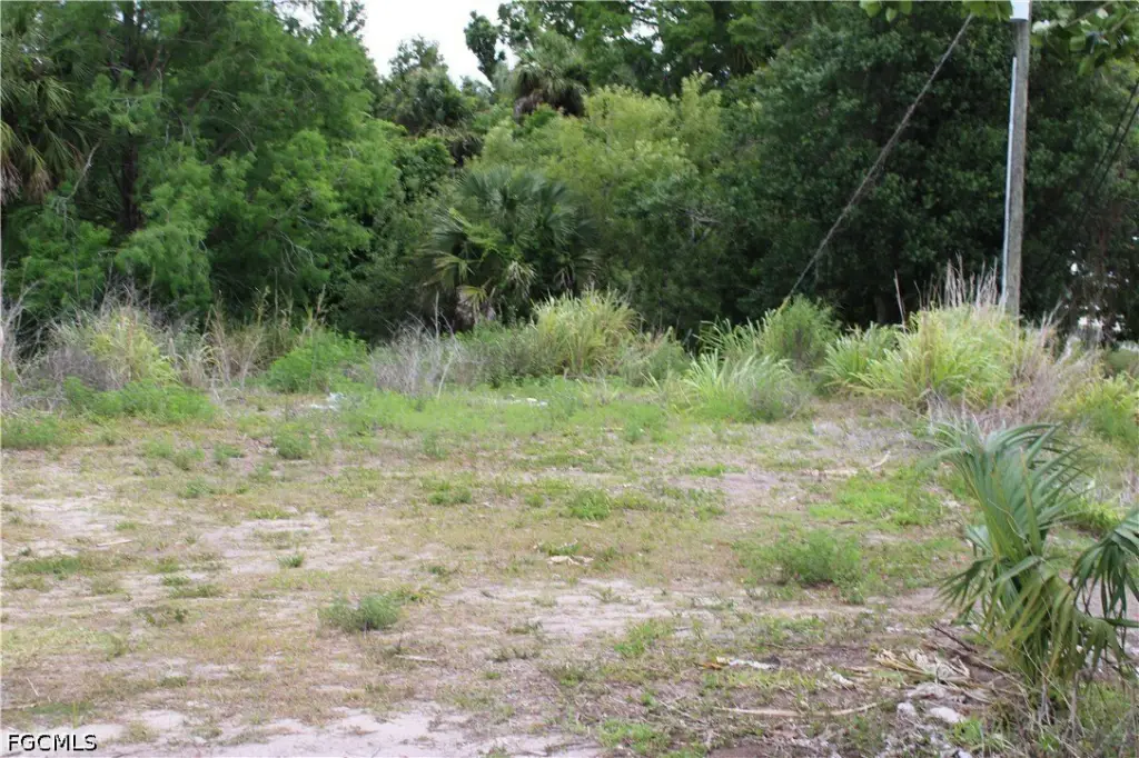 Picture 11