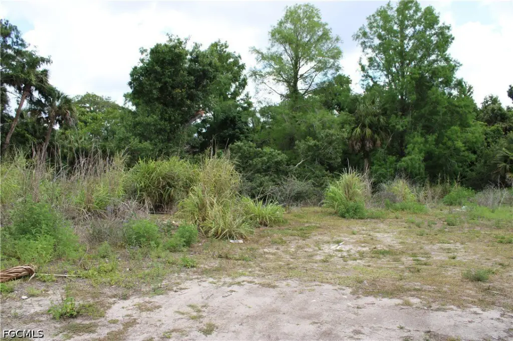 Picture 13