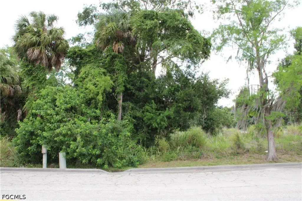 Picture 6