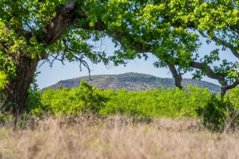 Texas Hill Country Ranch Opportunity