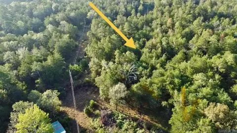 Lamar, AR Wooded Acreage