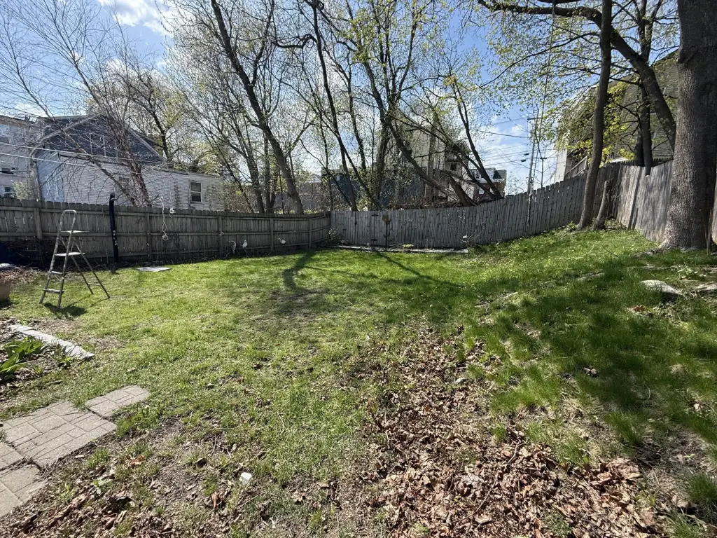 Picture 3