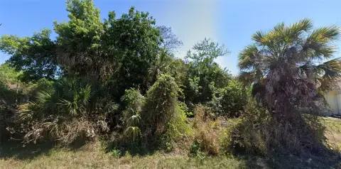 Residential Lot in Port Charlotte