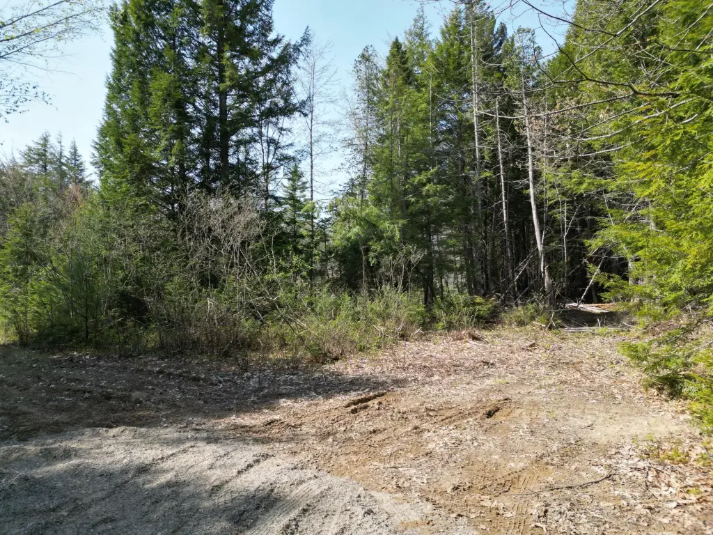 Picture 7