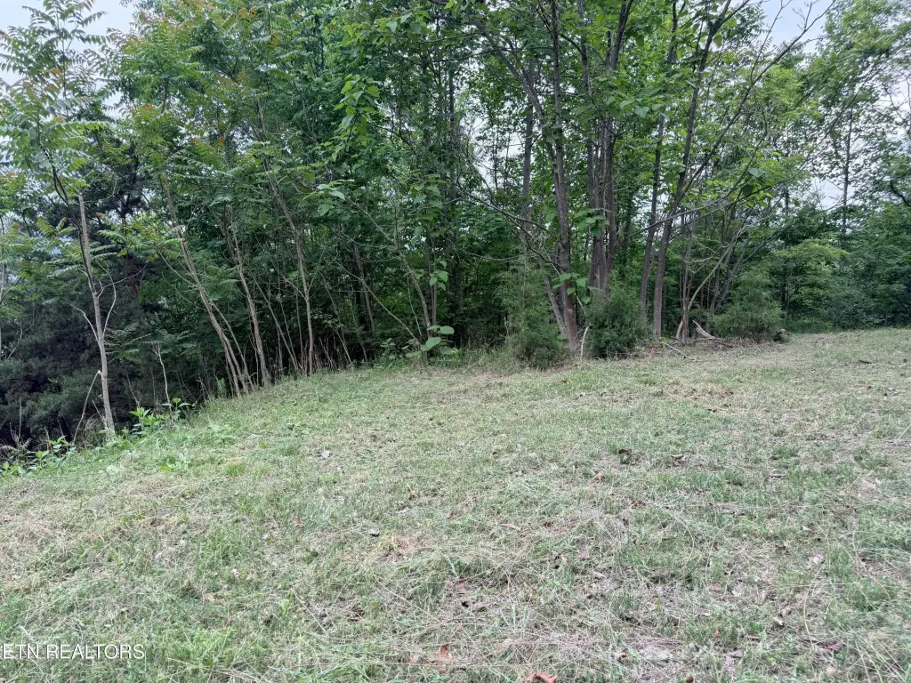 Picture 18