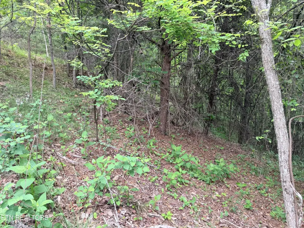 Picture 26