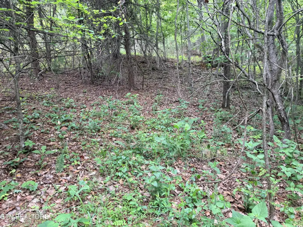 Picture 23