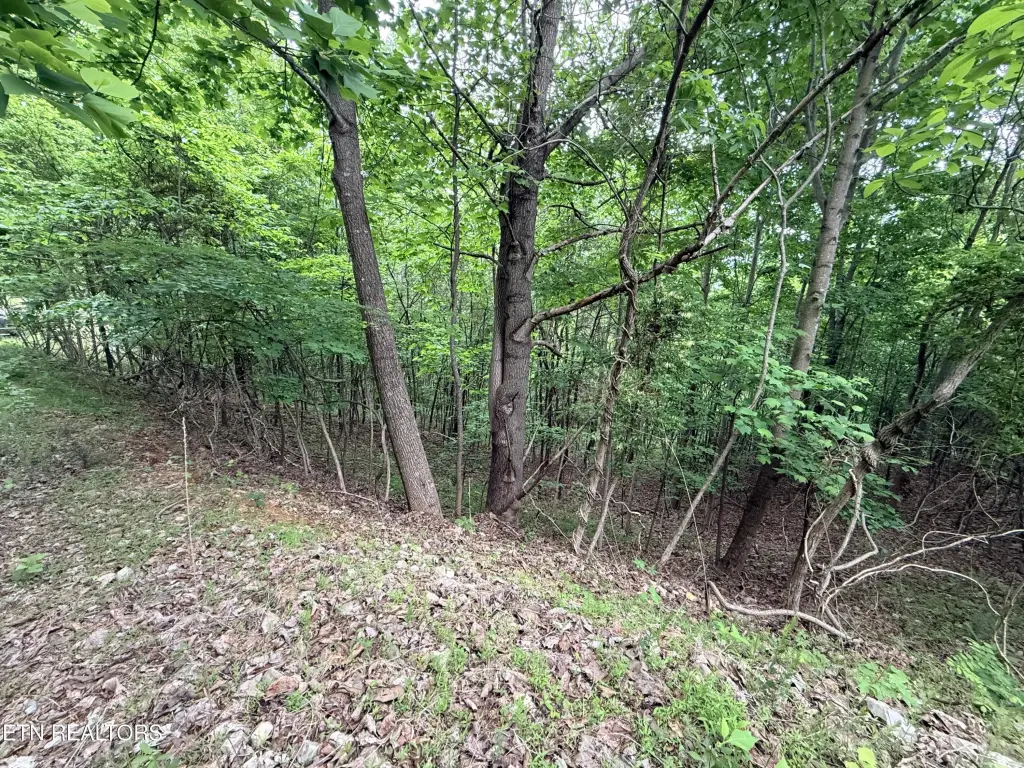 Picture 34