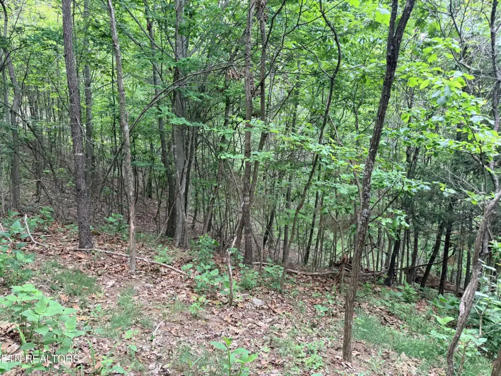 Picture 22