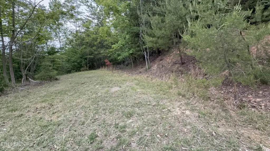 Picture 14