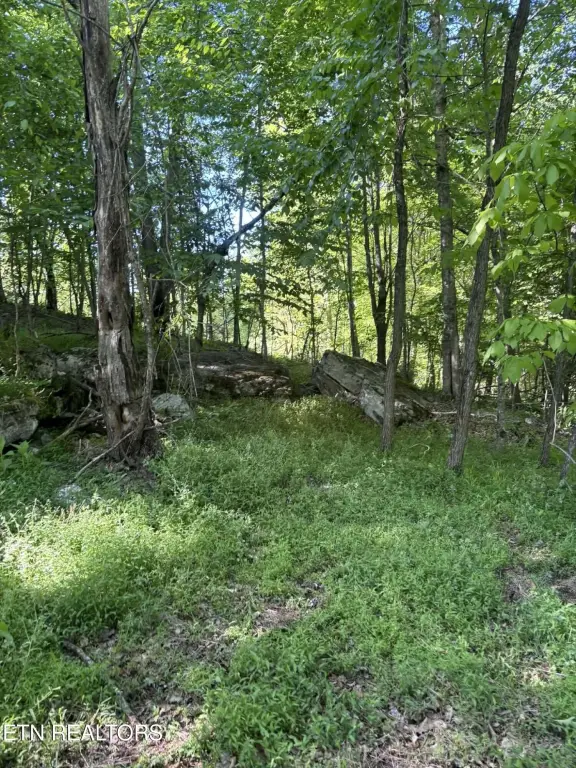 Picture 8