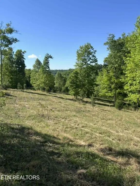 Picture 4
