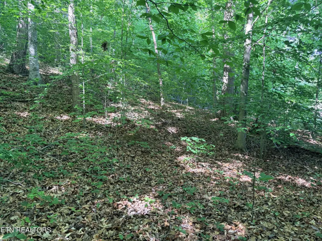 Picture 25