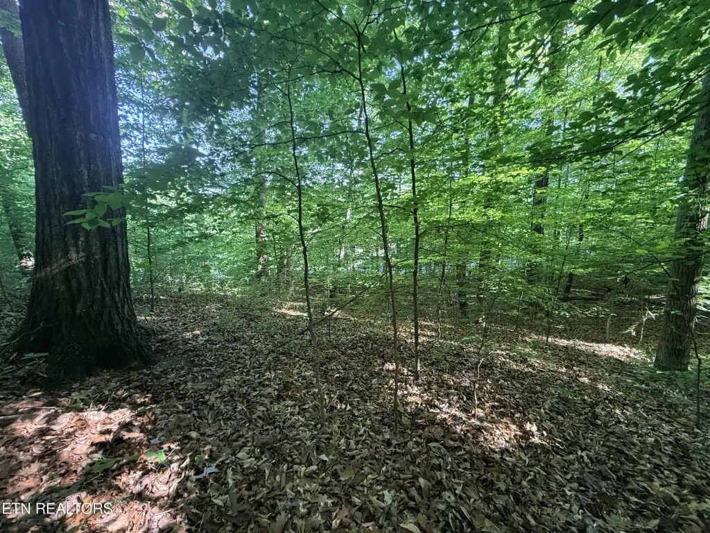 Picture 23