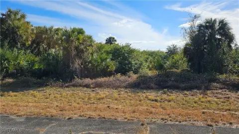 Vacant Lot in Labelle, FL