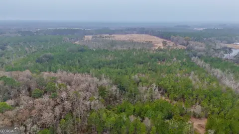 Glennville, GA Hunting and Homesite