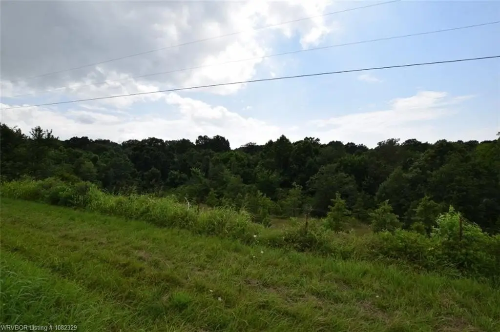 Picture 14