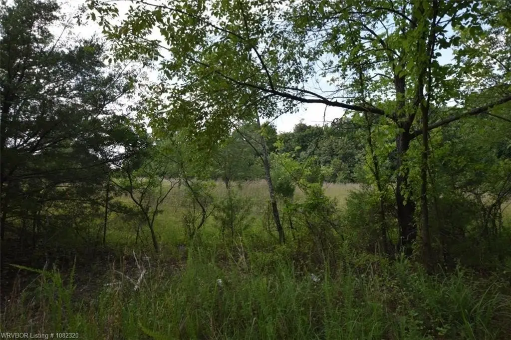 Picture 11