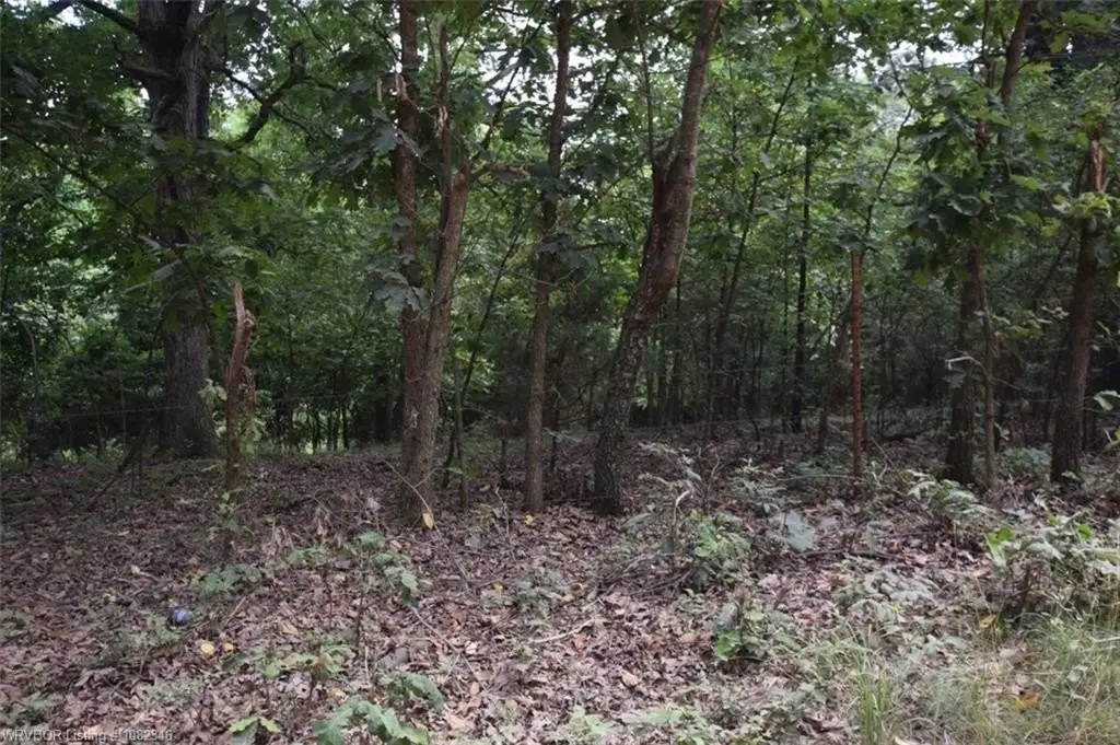 Picture 11