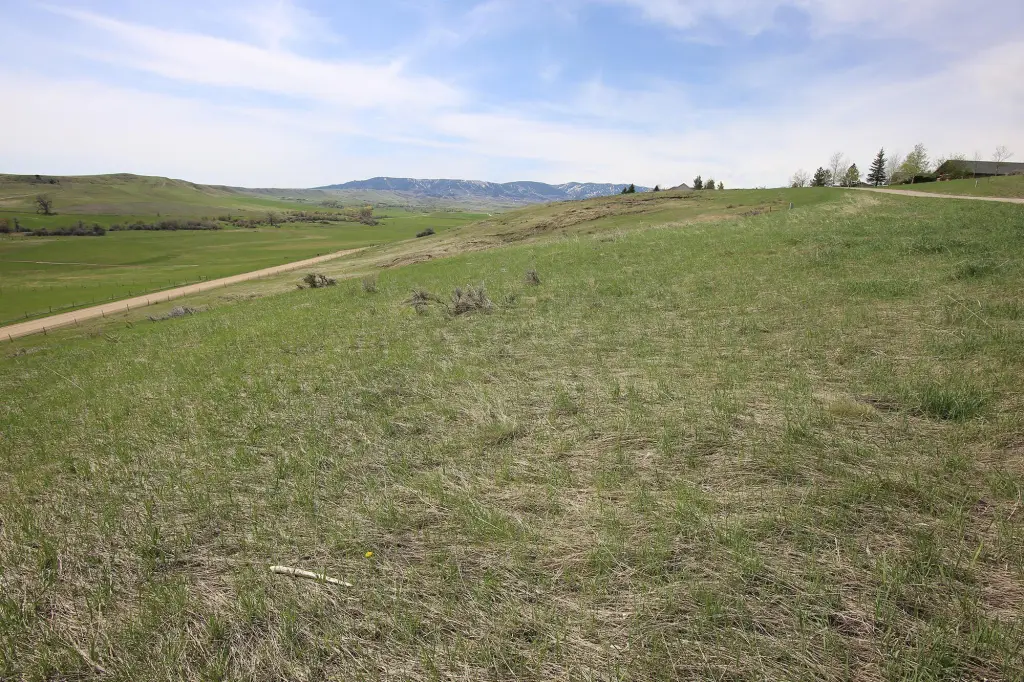Picture 12