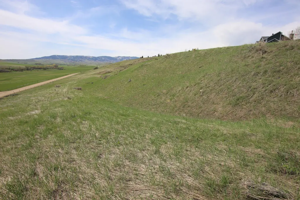 Picture 11