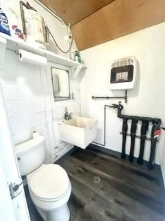 Picture 12