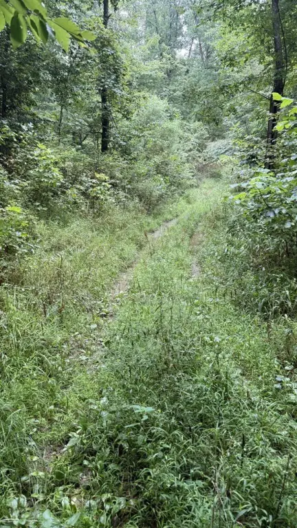 Picture 17