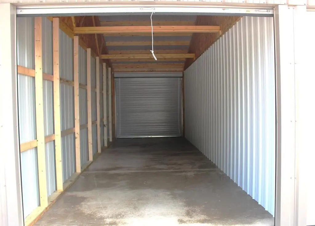 Picture 5