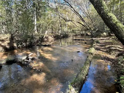 Coleman, GA Land with Creek