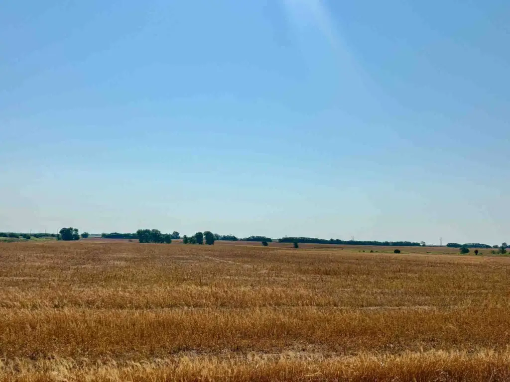 Picture 29